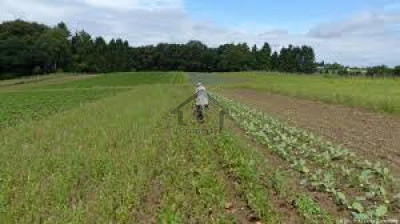 GT Road, - 839 Kanal - Land For Sale in Jhelum.