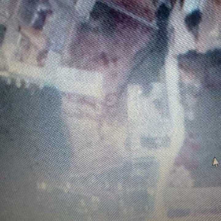 Cows Farms/block factory land for Rent