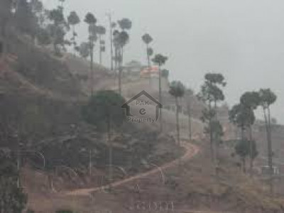 7 Marla Plot for Sale Near Muree Road Abbottabad.