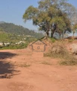 Ayub Medical Complex, - 10 Marla - Plot for sale.