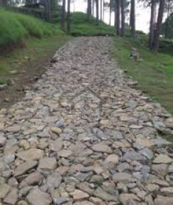 Abbottabad - 2.5 Kanal - Plot Is Available For Sale In Bata Kundi.
