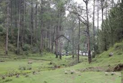 Officers Colony, - 10 Marla - Residential Plot For Sale in Abbottabad.