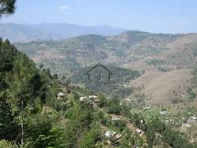 Batakundi - 10 Kanal-  Land For Sale In Naran ..