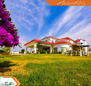 V Block 540 Series 7 Marla Plot Available For Sell Gulberg Residencia