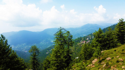 23 Kanals of prime land for sale in Patriata (New Murree) located off Main Patriata Road.