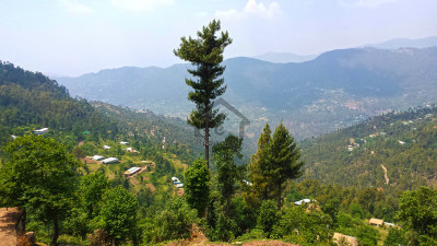 23 Kanals of prime land for sale in Patriata (New Murree) located off Main Patriata Road.