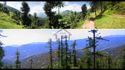 23 Kanals of prime land for sale in Patriata (New Murree) located off Main Patriata Road.