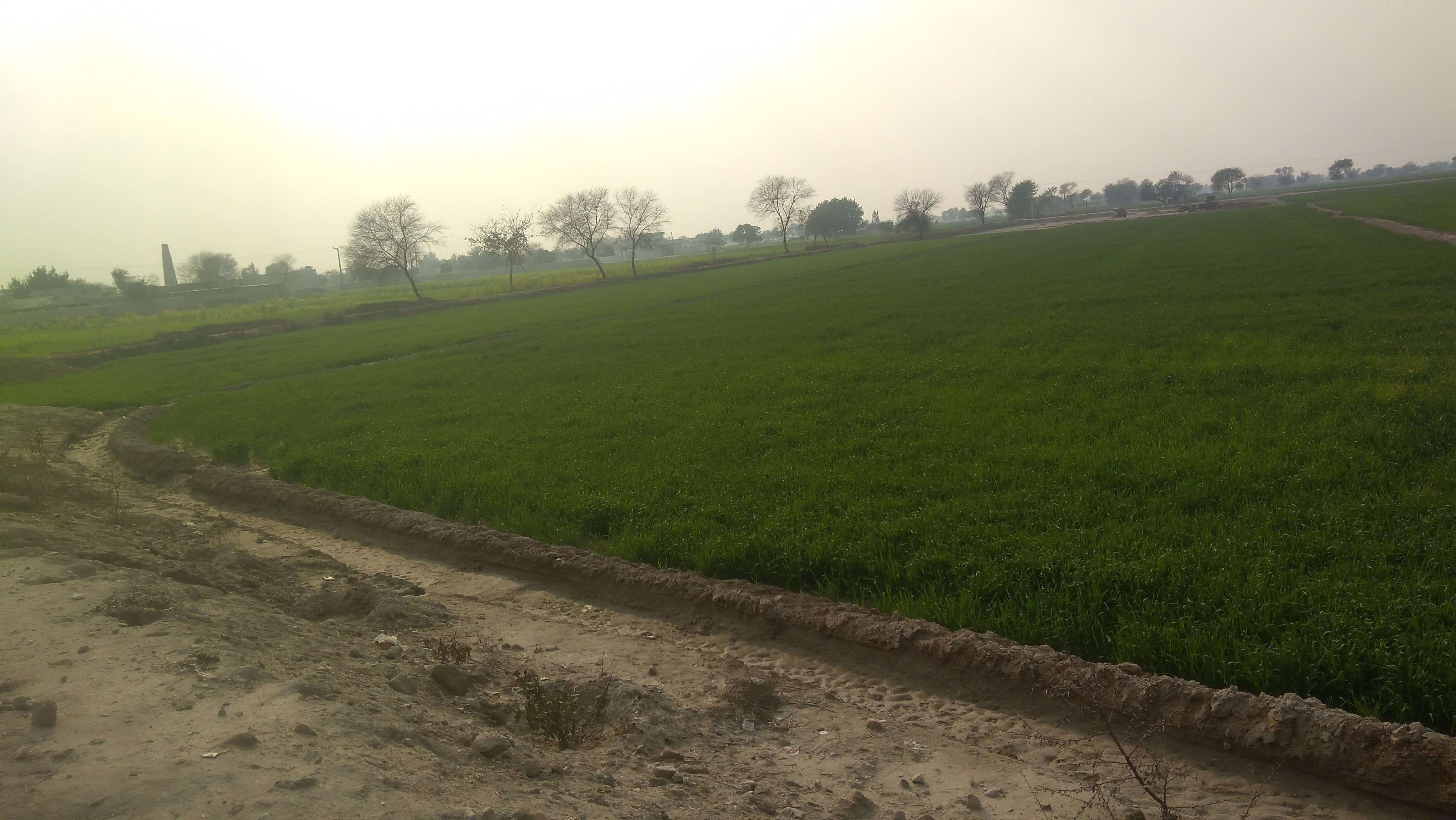 Believe it then Achieve it