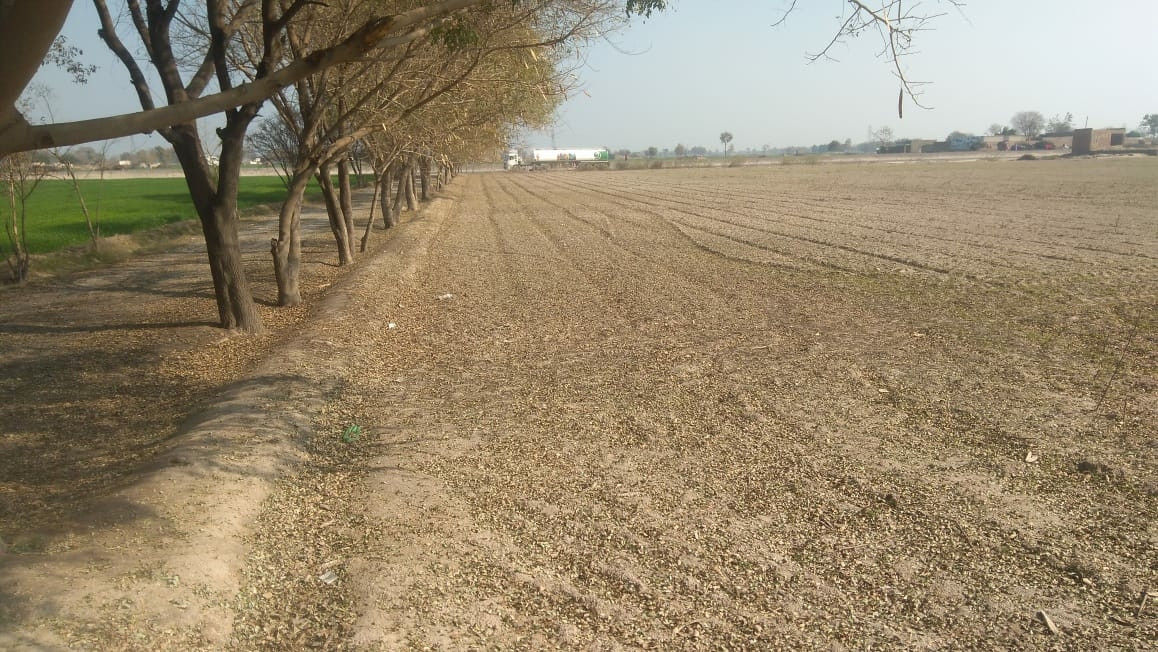 Biggest Land in Achieveable Amount