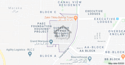 Government Superior Services