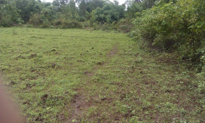 BAHRIA GREEN 75 SQ YARDS PLOTS IN EASY INSTALLMENT PLAN AVAILABLE