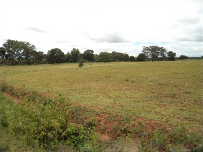 PAKISTANS LARGEST LOW COST SCHEME IS BAHRIA GREEN