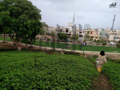 House & Plots for Sale in Gulshan-E-Maymar, Karachi.