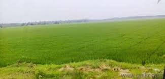 Agricultural land for sale