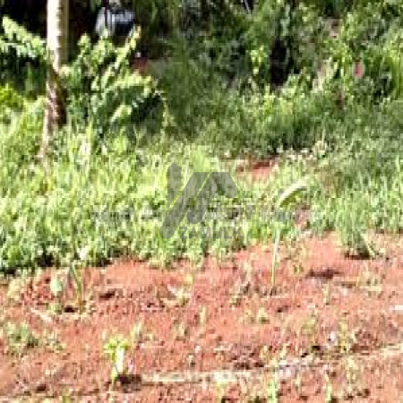 Plot Is Available For Sale In E-12/3