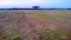 Plot For Sale In E-12/2