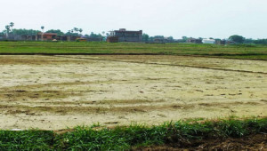 Plot For Sale In Mumtaz City Ravi Block