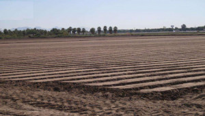 Plot For Sale In D-12/4