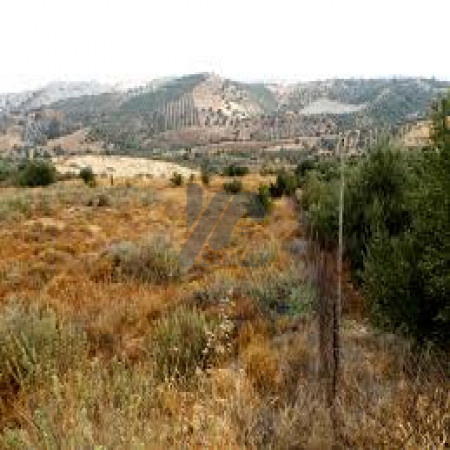 Residential Plot For Sale In I-12/4