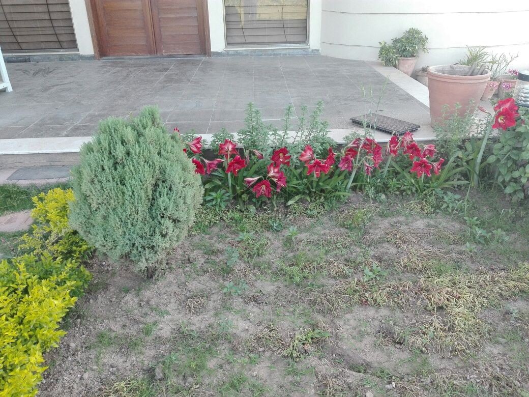5 Kanal Beautiful Level Farm House - Pn Naval Farm House Islamabad For Sale