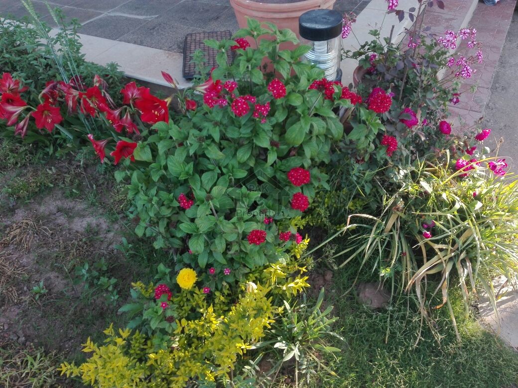 5 Kanal Beautiful Level Farm House - Pn Naval Farm House Islamabad For Sale