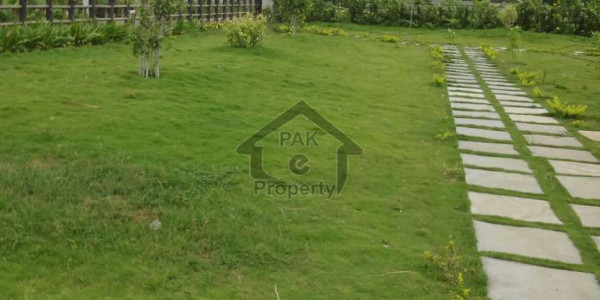 Residential Plot Is Available For Sale