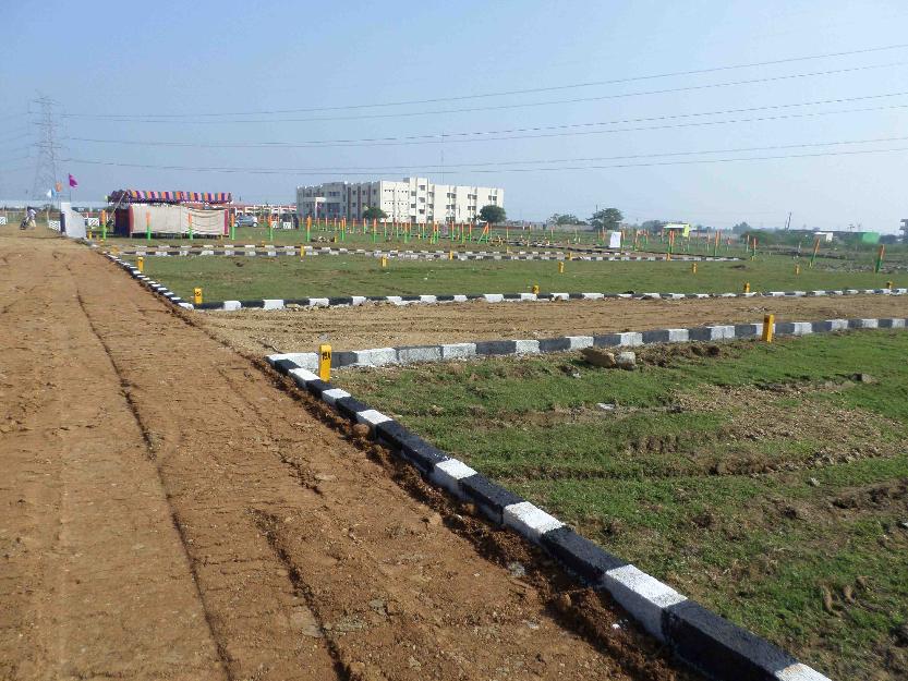 Agricultural Land Is Available For Sale