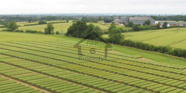 Opposite Kings Mall Commercial Plot 200 Sq.ft