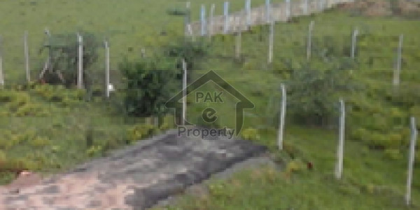 1 Kanal Affidavit Plot File DHA Pahse 1