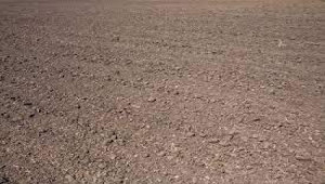 Plot For Sale In F-17