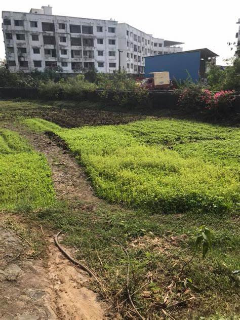 Plot For Sale In Zaraj Housing Scheme