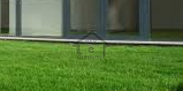 Commercial Plot Is Available For Sale