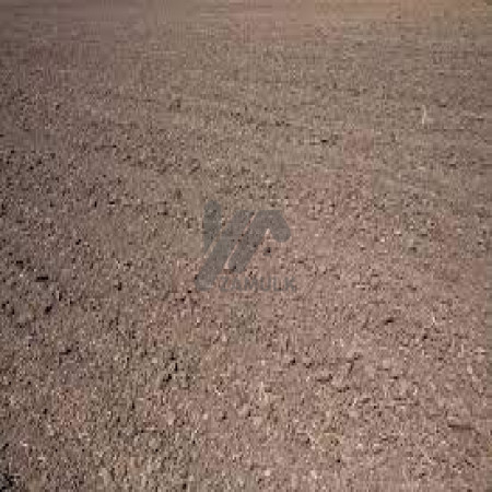 1 Kanal Plot For Sale In C-15