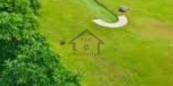 Commercial Factory For Sale