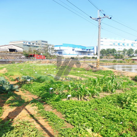 2 kanal Plot For Sale In MM Alam Road