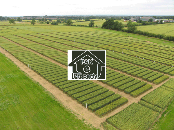 Industrial Land For Sale