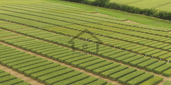 Industrial Land For Sale