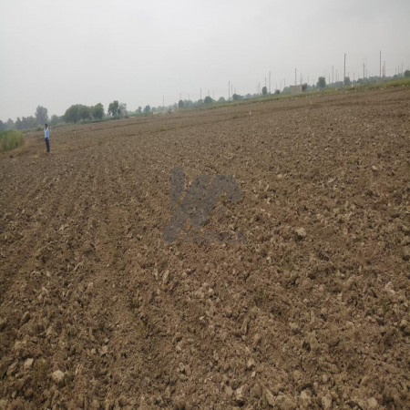 1 Kanal Plot For Sale In DHA Defence Phase 3