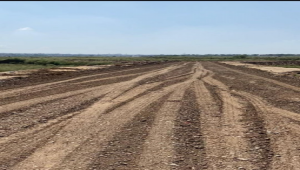 I-12/3 25x50 Park Face Plot available For Sale Prime location