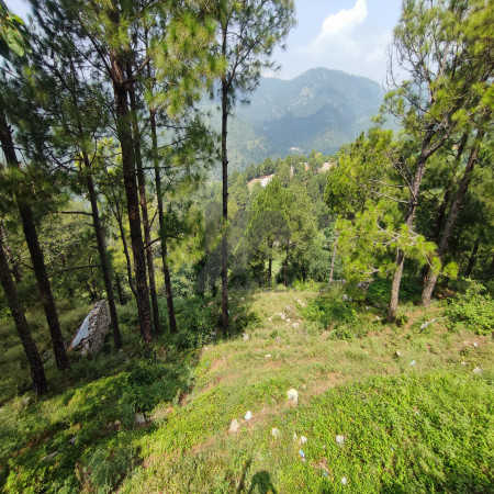 10 kanal farmhouse Plot For Sale In Khariyan Road 80 foot front.