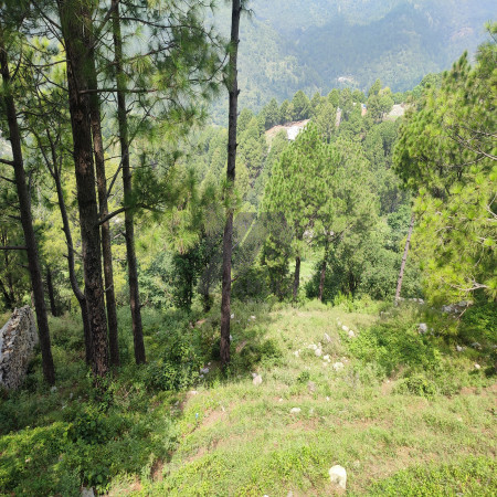 2 kanal farmhouse Plot For Sale In Khariyan Road 25 foot front.