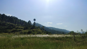 2 kanal farmhouse Plot For Sale In Khariyan Road 25 foot front.