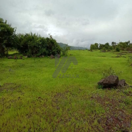 25 kanal farmhouse Plot For Sale In Khariyan Road 200 foot front.