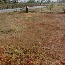1 Kanal Plot For Sale In DHA Phase 2