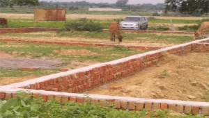 10 Marla Plot For Sale In DHA Phase 5 - Sector F