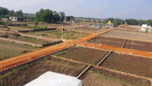 1 Kanal Plot For Sale In AGHOSH Phase 2