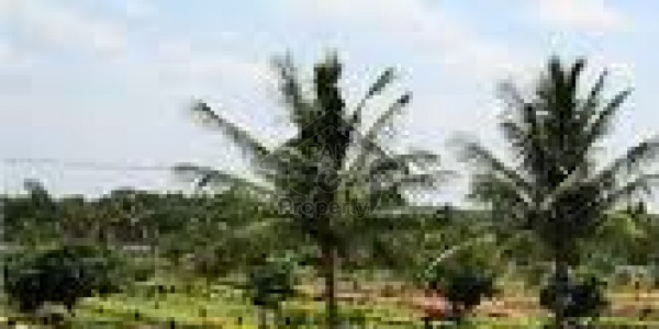 Residential Plot Is Available For Sale