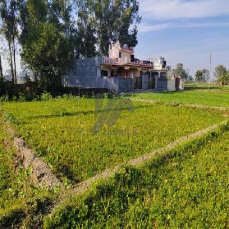 1 Kanal Plot For Sale In Bedian Road