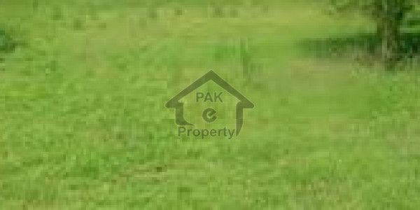 Residential Plot Is Available For Sale