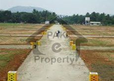 Commercial Plot Is Available For Sale